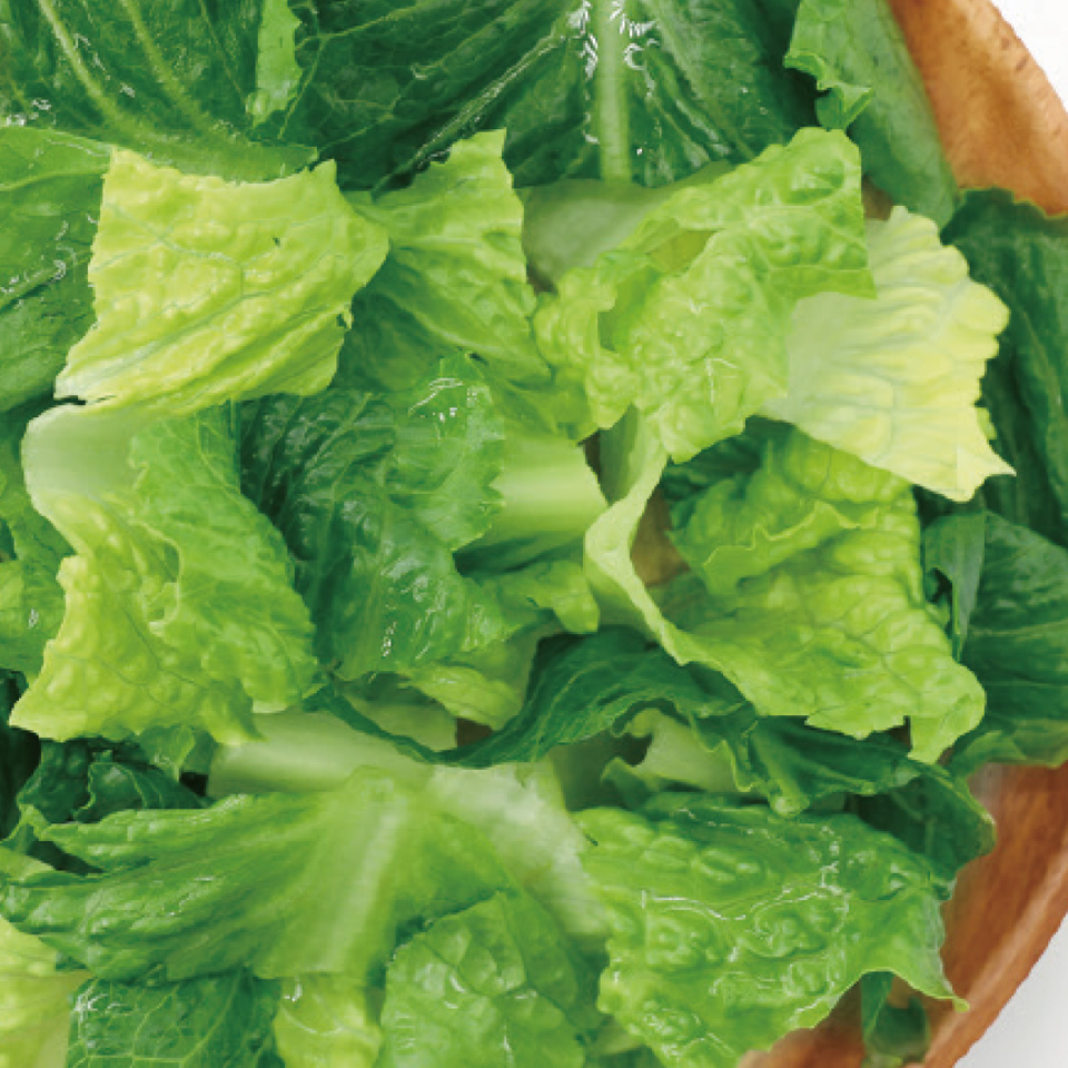 康福貢膳 - 西生菜